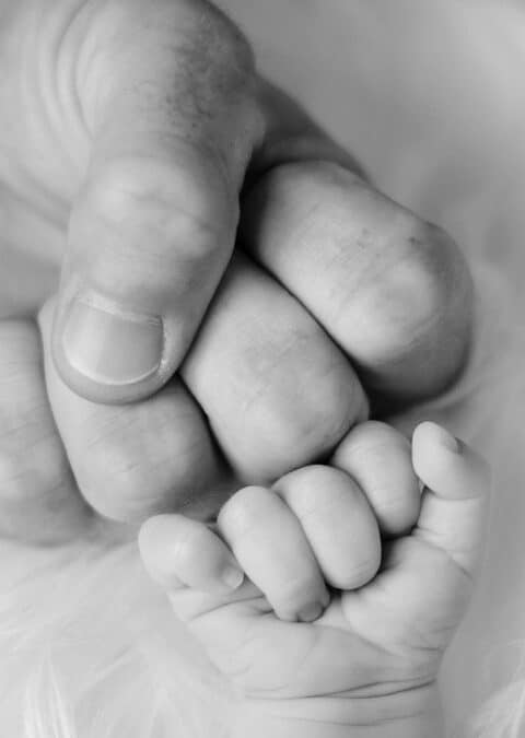 Beyond the Sandbox: How Local SEO Can Help Your Bradenton Child Care Center Thrive in Today’s Digital Age