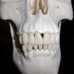 Boost Your Bradenton Dental Practice: 5 Ways PPC Advertising Can Transform Your Patient Base
