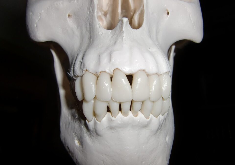 Boost Your Bradenton Dental Practice: 5 Ways PPC Advertising Can Transform Your Patient Base