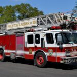 Branching Out: How PPC Advertising Can Grow Your Sarasota Tree Service Business