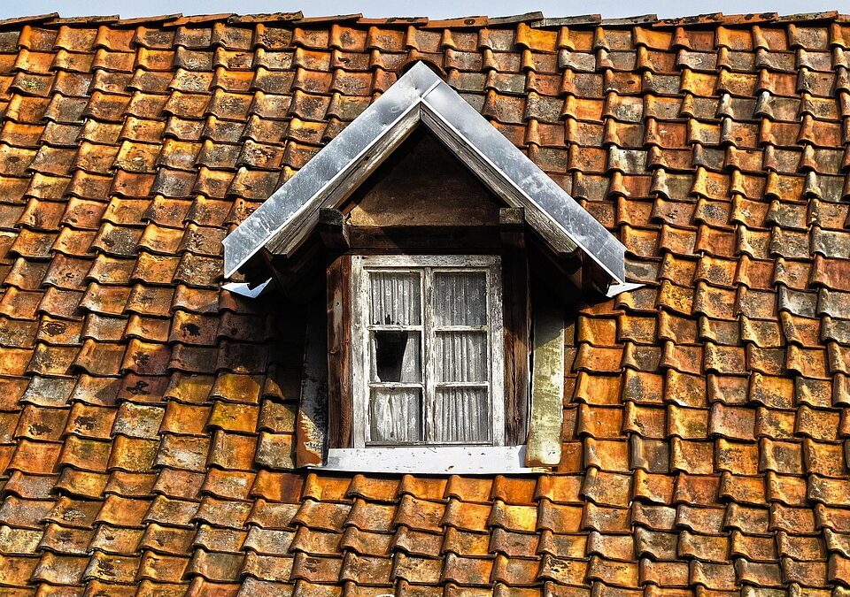Build Your Business from the Top Down: The SEO Benefits Every Bradenton Roofer Should Know