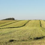 Building Your Brand: The Power of PPC for Sarasota's Land Grading Entrepreneurs