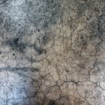 Building a Better Online Presence: The Essential Role of SEO for Bradenton Concrete Contractors
