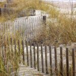 Building a Stronger Brand: The SEO Strategies Every Bradenton Fence Installer Should Know