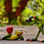 Capture More Clients: How SEO Can Transform Your Bradenton Photography Business