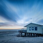 Cleaning Up Online: The Essential SEO Guide for Sarasota House Cleaners to Boost Local Reach