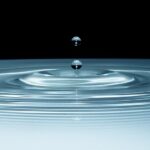 Cleaning Up the Competition: Boost Your Sarasota House Cleaning Service with Targeted PPC Campaigns