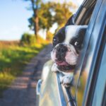Clear Views, Clear Benefits: The Power of PPC Advertising for Small Window Cleaning Businesses in Bradenton
