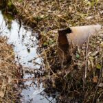 Clear Your Clutter: How PPC Advertising Can Drive More Local Gutter Cleaning Customers to Your Bradenton Business