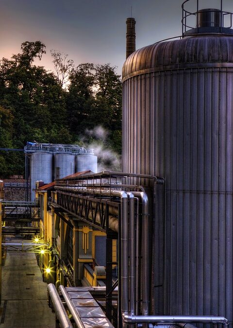 Conquer the Competition: How the Right Marketing Agency Can Elevate Your Bradenton Business with SEO