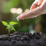 Cutting Through the Competition: How SEO Can Help Your Sarasota Lawn Care Business Thrive