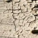 Digging Deep: Harnessing SEO to Unearth New Opportunities for Your Land Grading Service in Bradenton