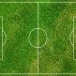 Digging Deep: Why Bradenton Lawn Care Companies Must Embrace SEO for Success