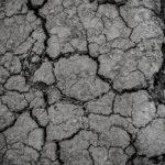 Digging Into Success: How SEO Strategies Can Elevate Your Sarasota Land Grading Company