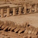 Digging Up Success: How SEO Can Propel Your Sarasota Excavation Business Forward
