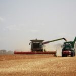 Digging for Success: The Powerful Role of SEO in Boosting Land Grading Visibility in Sarasota
