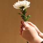 Digital Serenity: Unlocking the Power of SEO to Transform Your Sarasota Funeral Home's Online Presence