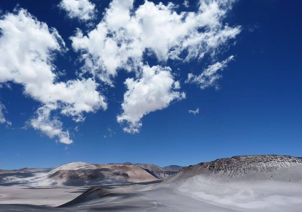 Dirt to Dollars: Transform Your Sarasota Land Grading Business with Strategic PPC Campaigns