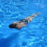 Dive into Success: Unlocking the Potential of PPC for Sarasota's Pool Cleaning Professionals
