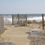 Drowning in Competition? How Local SEO Can Help Your Water Damage Restoration Business Stand Out in Bradenton