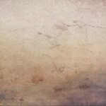 Elevate Your Business: 5 Key PPC Strategies Every Sarasota Concrete Contractor Should Know