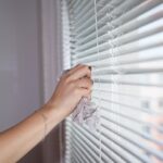 Elevate Your Visibility: The Essential Guide to SEO for Bradenton Window Cleaners