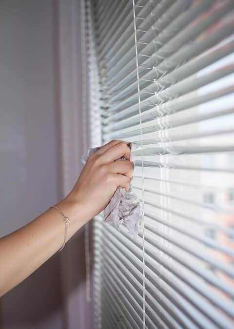 Elevate Your Visibility: The Essential Guide to SEO for Bradenton Window Cleaners