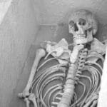 Excavating Opportunities: The Essential Role of SEO in Building Your Sarasota Contractor Brand