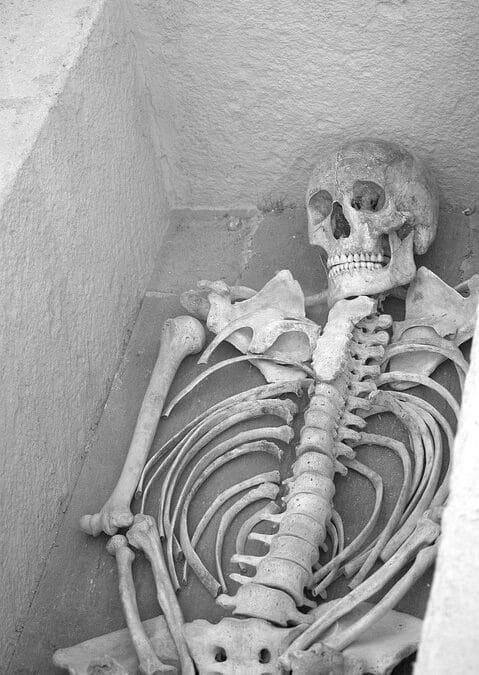 Excavating Opportunities: The Essential Role of SEO in Building Your Sarasota Contractor Brand