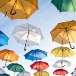 Fence Your Way to Profits: Harnessing PPC to Drive Local Business Success in Bradenton