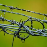Fencing in New Customers: The Power of SEO for Bradenton’s Small Fence Installers