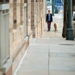 Fetch More Customers: The Top SEO Tips Every Bradenton Dog Walker Should Know