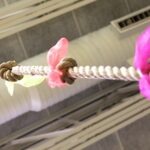 Flex Your Online Presence: 5 SEO Strategies to Boost Your Bradenton Gym's Visibility