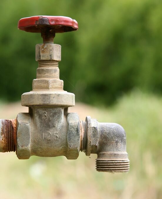 Flowing Success: How a Strategic PPC Campaign Can Boost Your Bradenton Plumbing Business