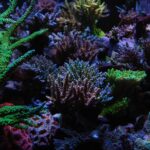 Flush Out the Competition: How Local SEO Can Elevate Your Sarasota Septic Tank Service