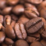 From Beans to Browsers: The Ultimate SEO Guide for Sarasota's Coffee Shops to Attract More Local Customers