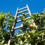 From Boxes to Billions: Leveraging PPC to Elevate Your Sarasota Packing Business