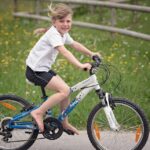 “From Boxes to Rankings: How SEO Can Transform Your Sarasota Moving Company”