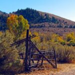From Clicks to Contracts: The PPC Advantage for Local Siding Contractors