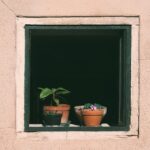 From Clicks to Customers: The Essential Role of PPC in Elevating Your Sarasota Window Replacement Services