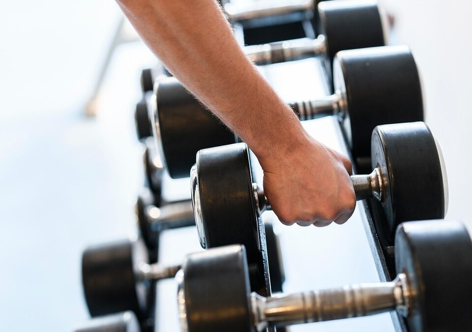 From Clicks to Reps: Transforming Local Interest into Gym Memberships with PPC in Sarasota