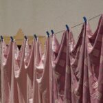 From Clutter to Clarity: Elevate Your Sarasota Business SEO with a Freshly Cleaned Dryer Vent