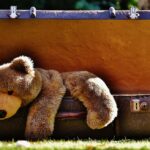 From Clutter to Clicks: The Essential Role of SEO in Elevating Your Sarasota Junk Removal Service