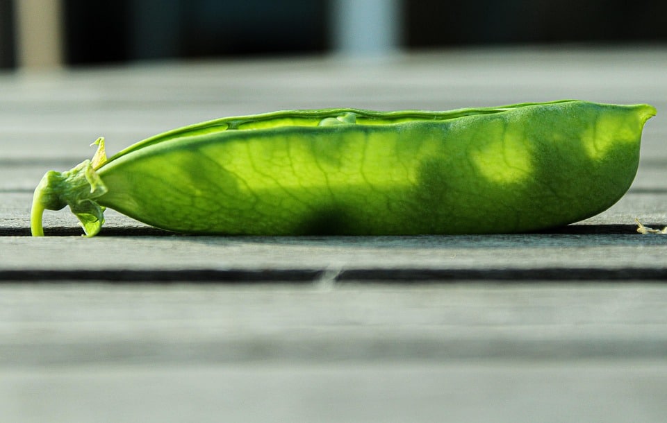 From Cluttered to Clarity: Why Local Home Organizers Need SEO to Thrive in Sarasota