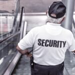 From Critters to Clients: Unlocking the Power of SEO for Sarasota's Pest Control Pros