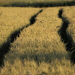 From Dirt to Dollars: Unlocking the Potential of PPC Advertising for Sarasota Land Grading Companies