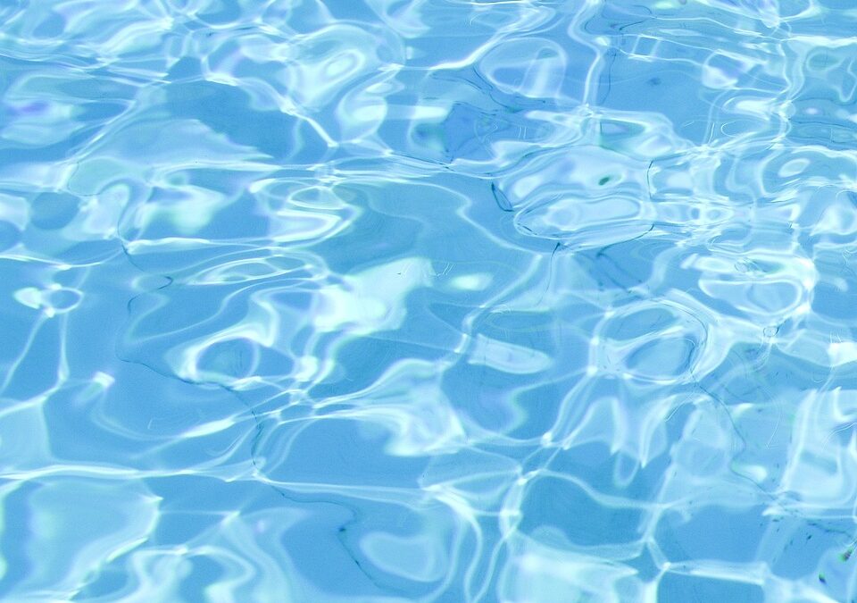 From Drips to Dominance: Elevate Your Sarasota Pool Repair Business with Smart SEO Techniques