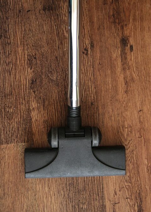 From Dull to Dynamic: Why Every Bradenton Carpet Cleaner Should Invest in PPC Today!
