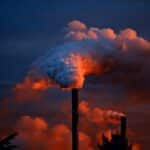 From Flue to Fame: Harnessing PPC to Boost Your Bradenton Chimney Sweep’s Online Presence
