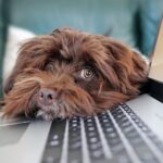 From Geek to Great: Elevate Your Sarasota Computer Repair Business with Effective SEO Strategies!